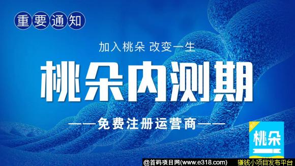 桃朵怎么样桃朵怎么注册桃朵怎么做桃朵是不是骗局桃朵加盟***桃朵对接团队注册