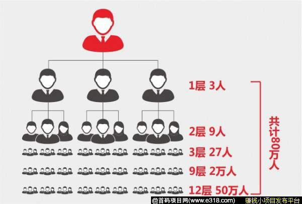 集语【首码】全网对接！
