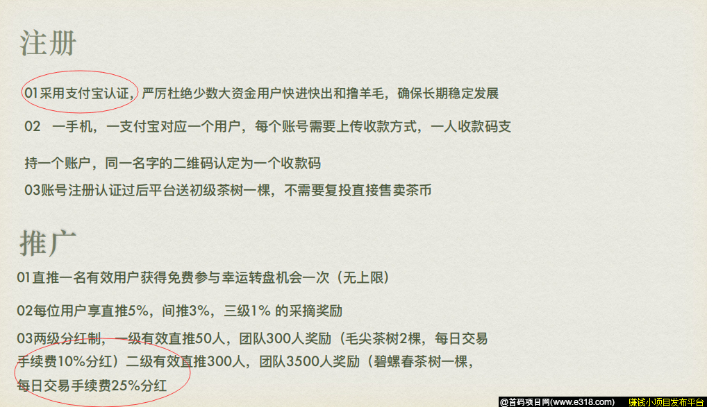 【茶币】实地考察首码，20/21号开盘，来拿码