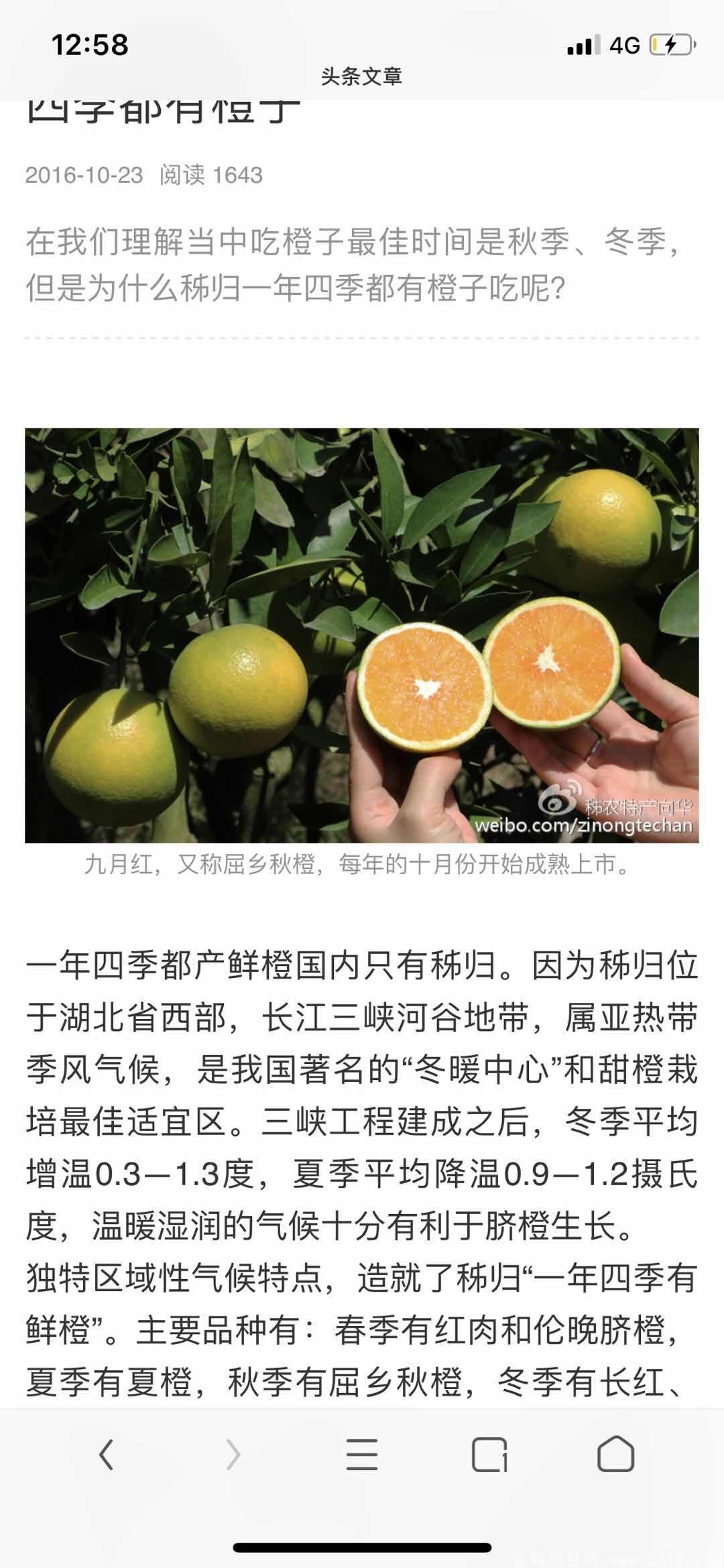 果农直选招募首批代理