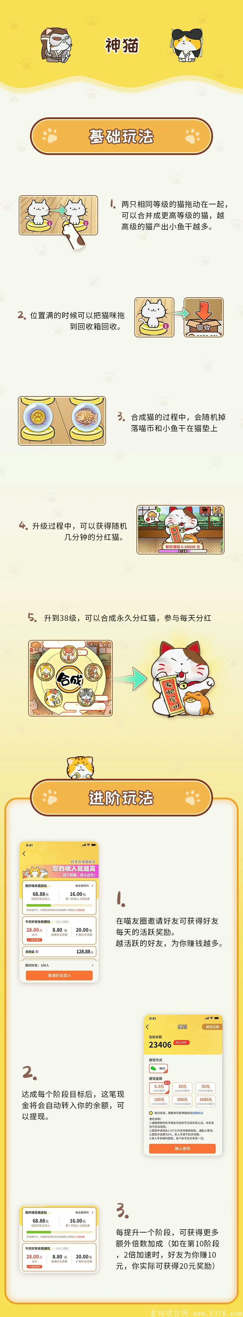 神猫合成，5.18首码起航，全网招募团队长。