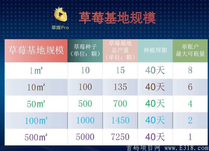 草莓Pro 新出来没几天