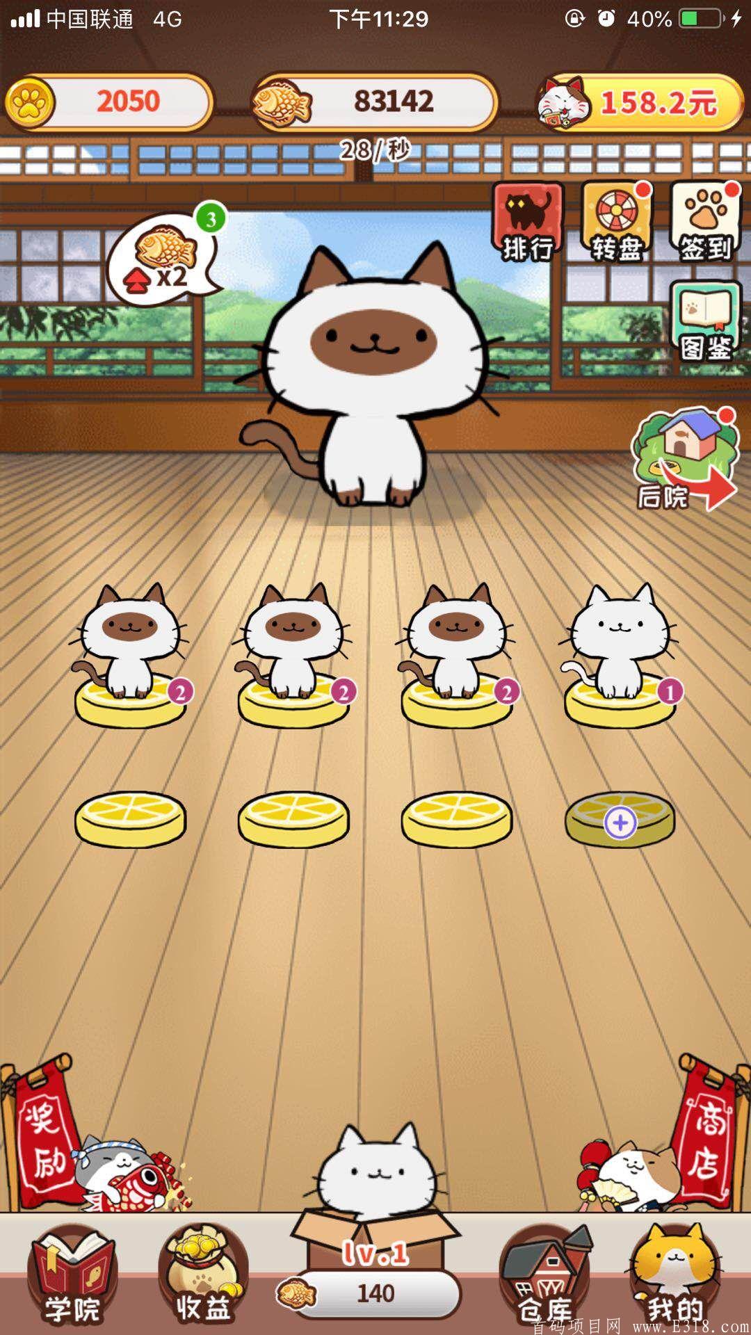 【首码】神猫侠侣，永久**