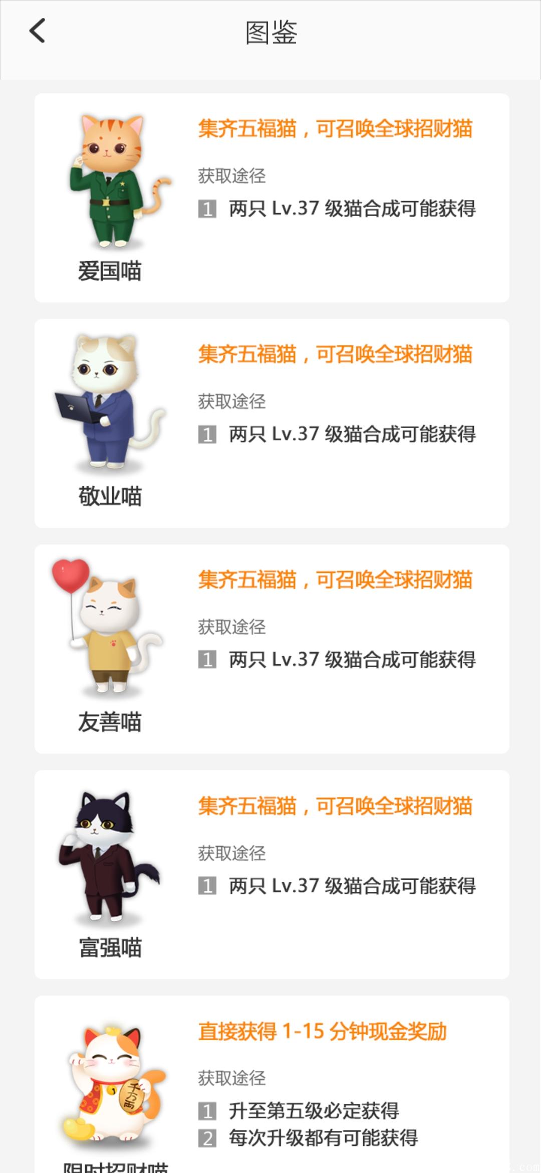 猫咪世界首码今日刚开！高收益模式