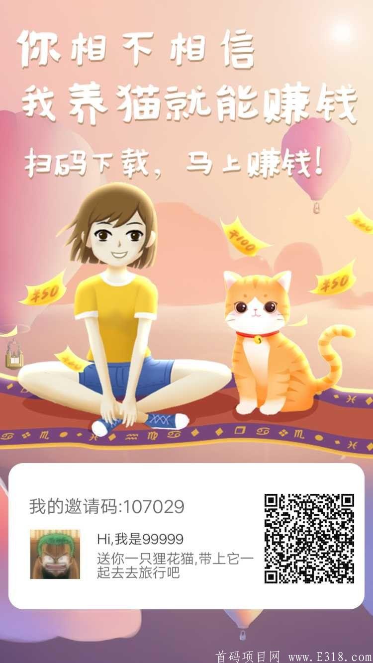 猫咪世界首码今日刚开！高收益模式