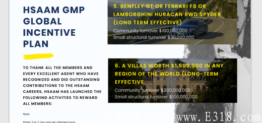【Hsaam GMP】5月25号首码发布、国际大盘招募领导人! image.png