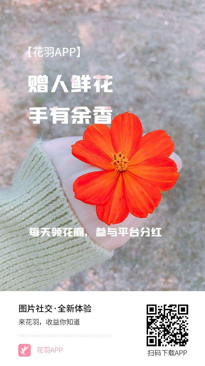 花羽，首码进行，持有花瓣每天分红