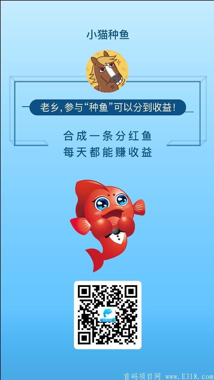 首码：小猫种鱼