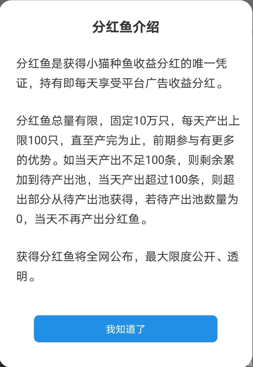 首码：小猫种鱼