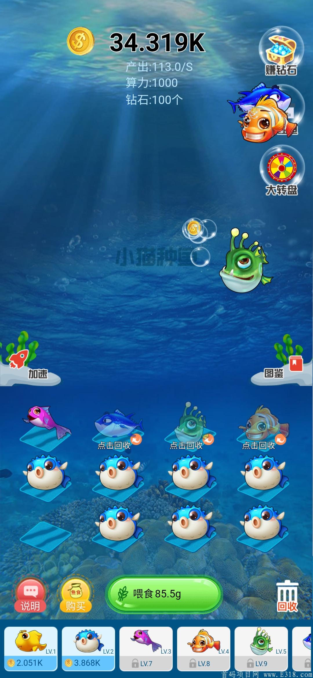 首码，内测中！静态玩家必得分红