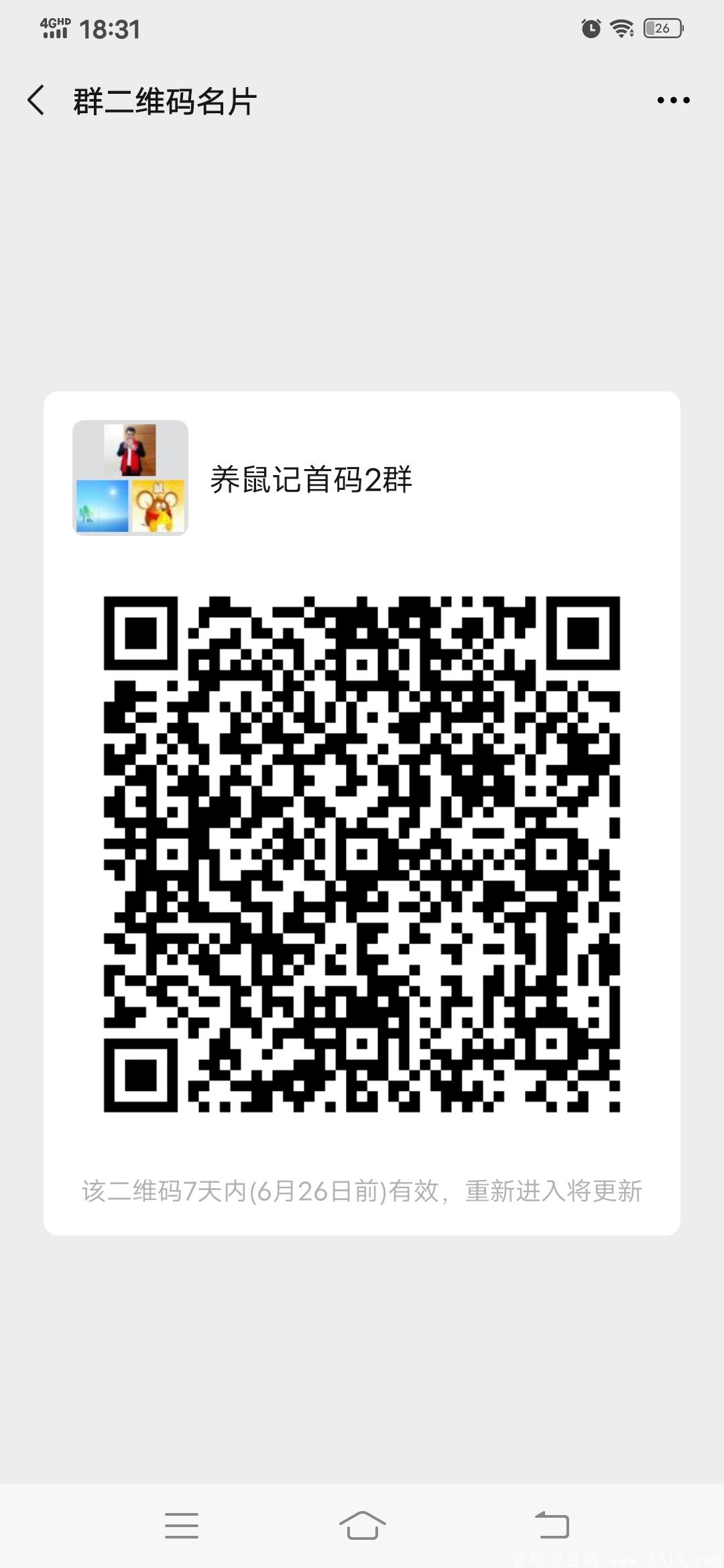 首码上车！养鼠记！合成分红鼠日赚300