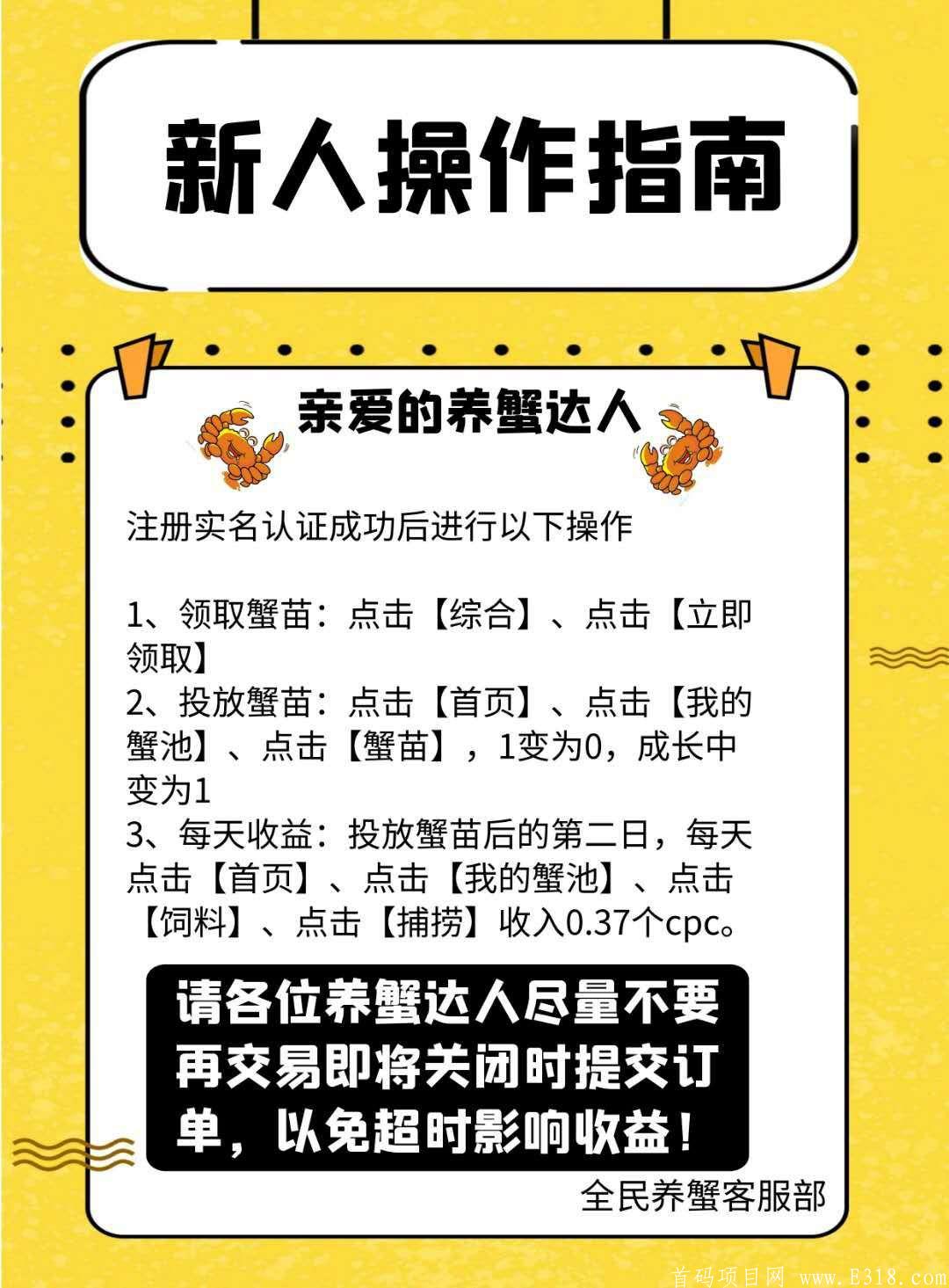全民养蟹，0撸好项目