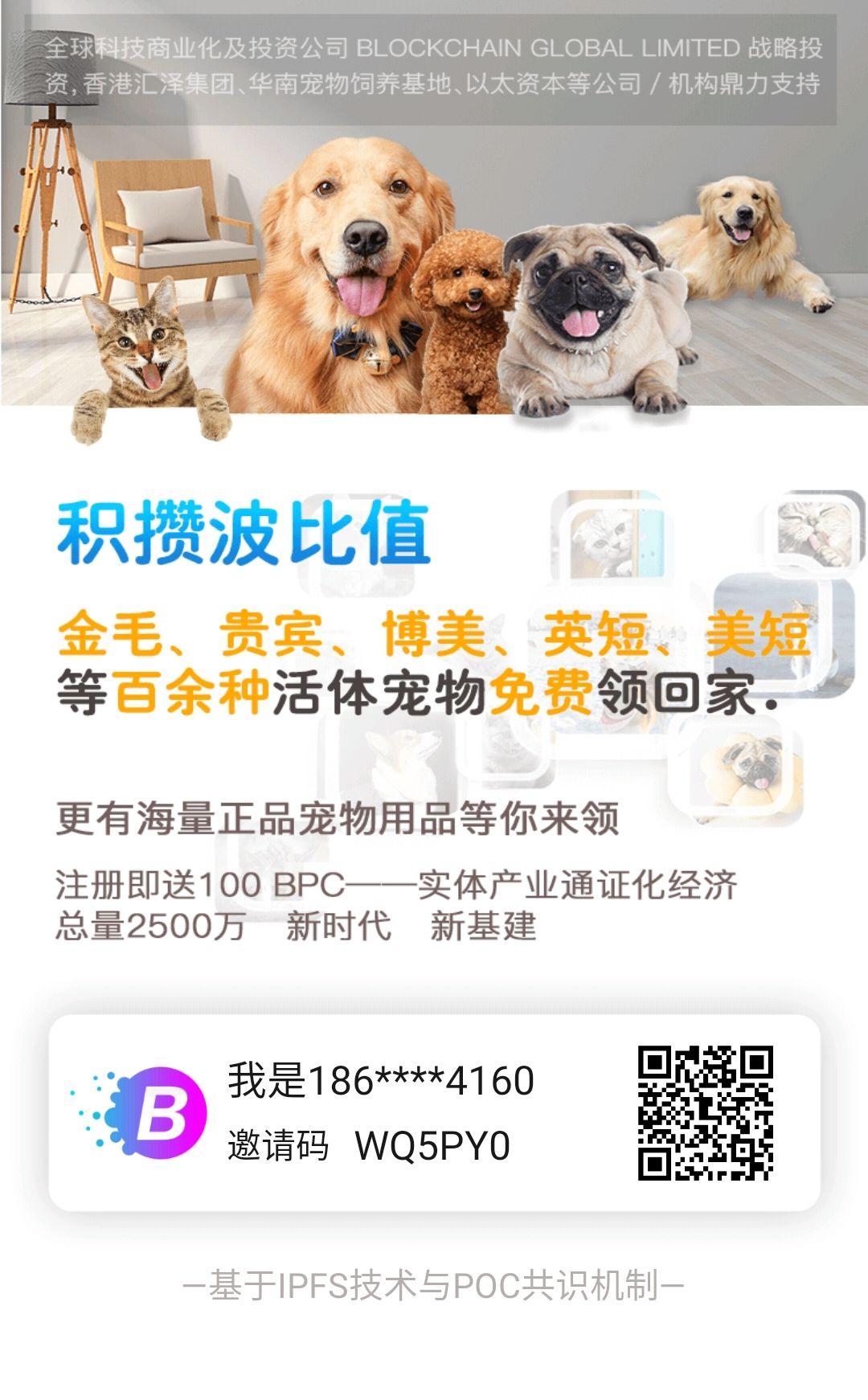 波比宠物全新 3.0 APP：认证送100BPC！长久稳定项目！