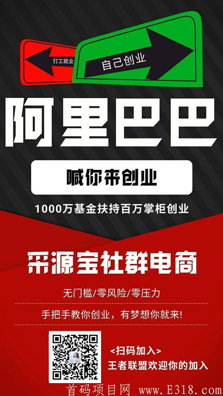 阿里巴巴采源宝新项目首码
