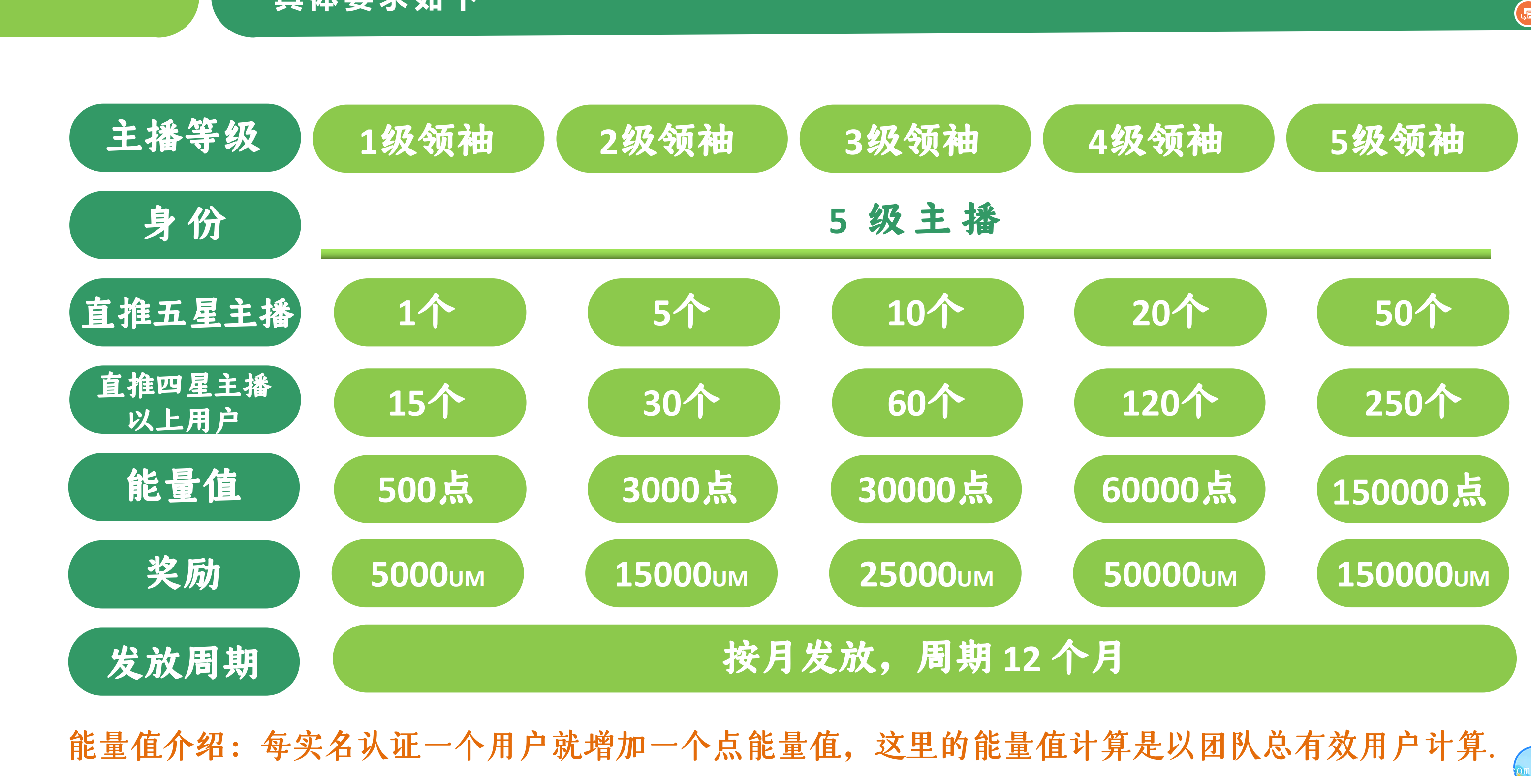 芝嫲短视频，新项目，上星达人简单，0撸最快，扶持上星