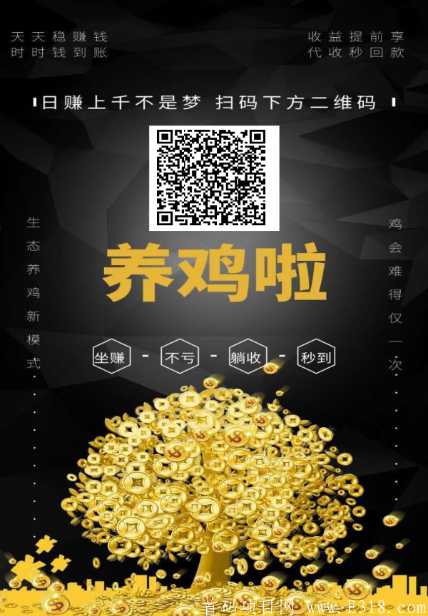 养鸡了，完全零撸