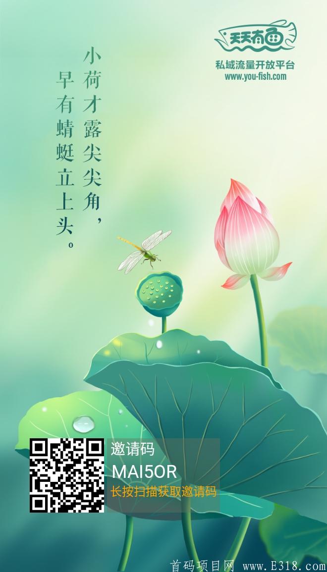 天天有鱼火爆项目一币10元