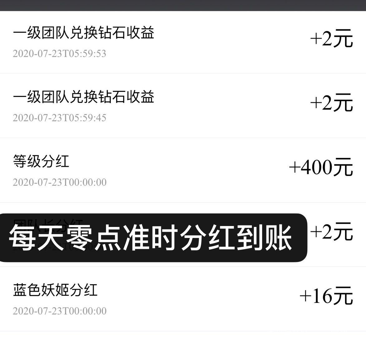 花艺趣，招募各团队长