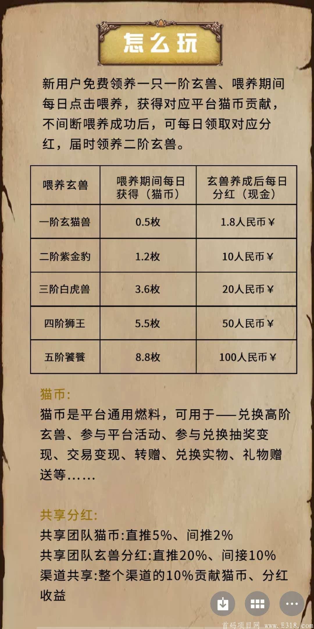 玄猫:首码，又一全民拿**项目，火爆全网！