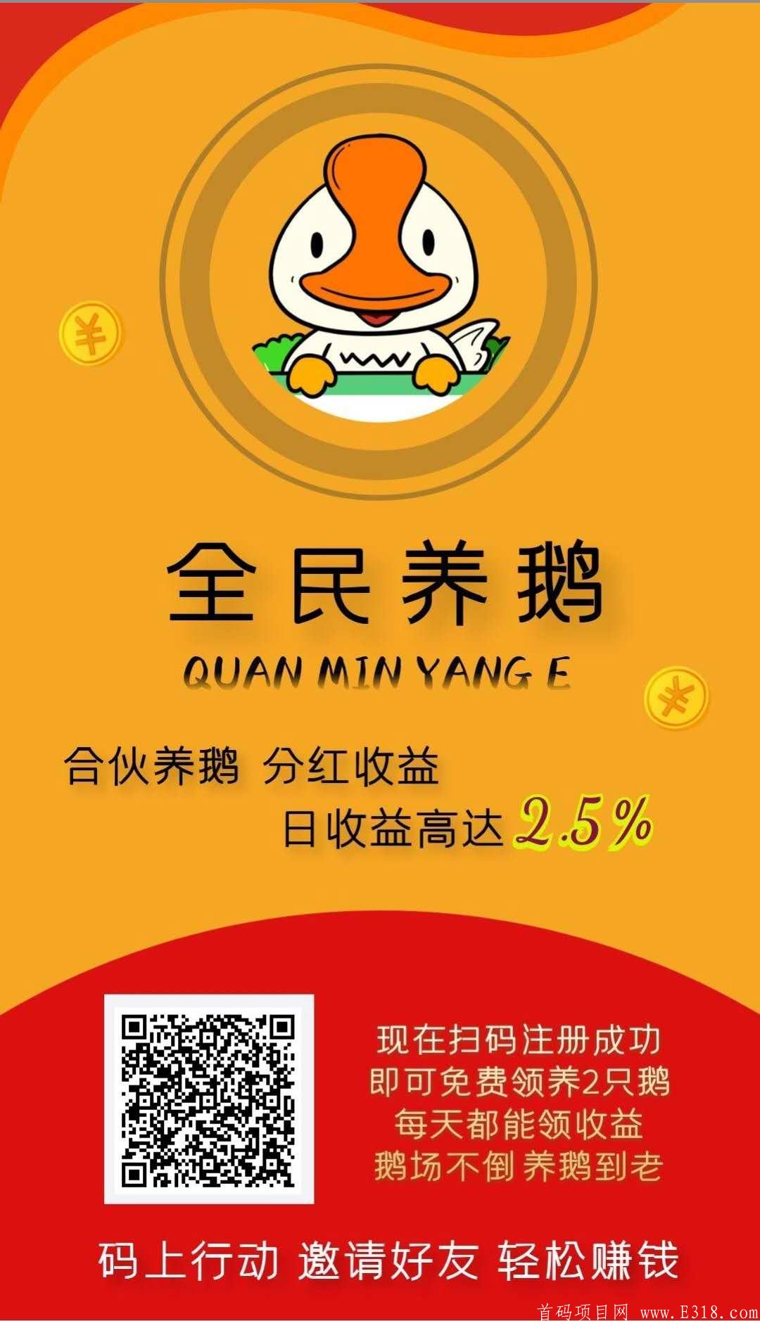 全民养鹅：全网首码，**收益，注册就送43.2元