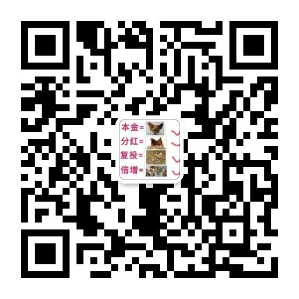 趣分类香港上市战略规划中，项目自面世以来稳步发展，是投资首选