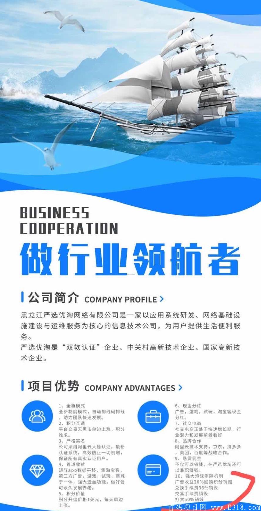 《严选优淘》将于9月10日震撼起航（团队扶持，排线）_首码项目网