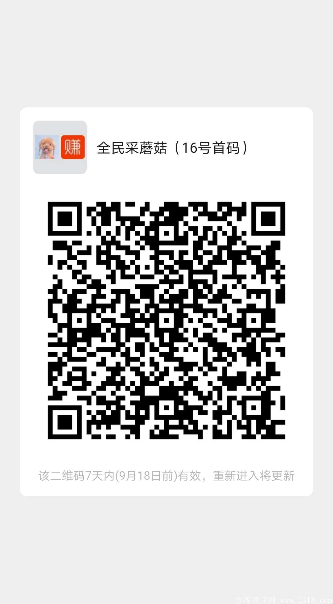 【全民采蘑菇】9月16日发布，官方首码对接预热中，暴力0撸，渠道商收益爆炸！
