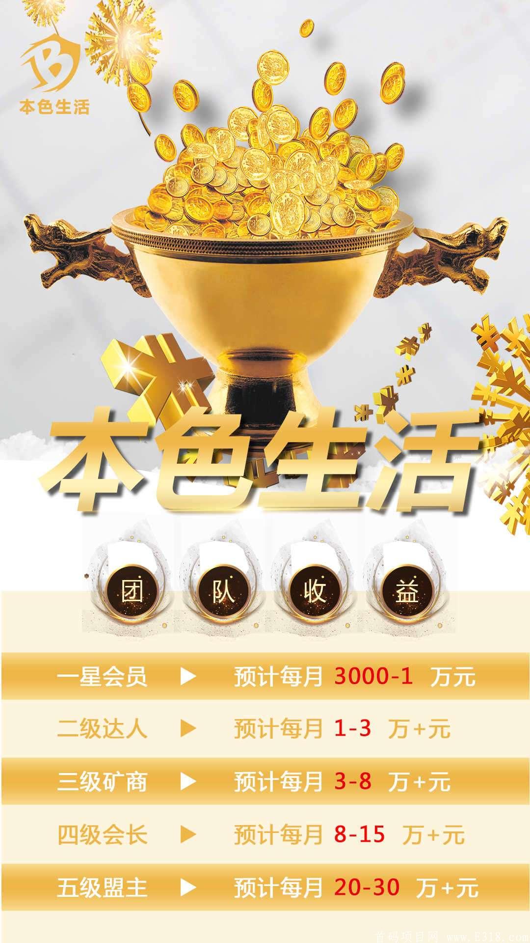 对接官方首码：本色生活】新出kuang机项目，排线兜底中。。。。