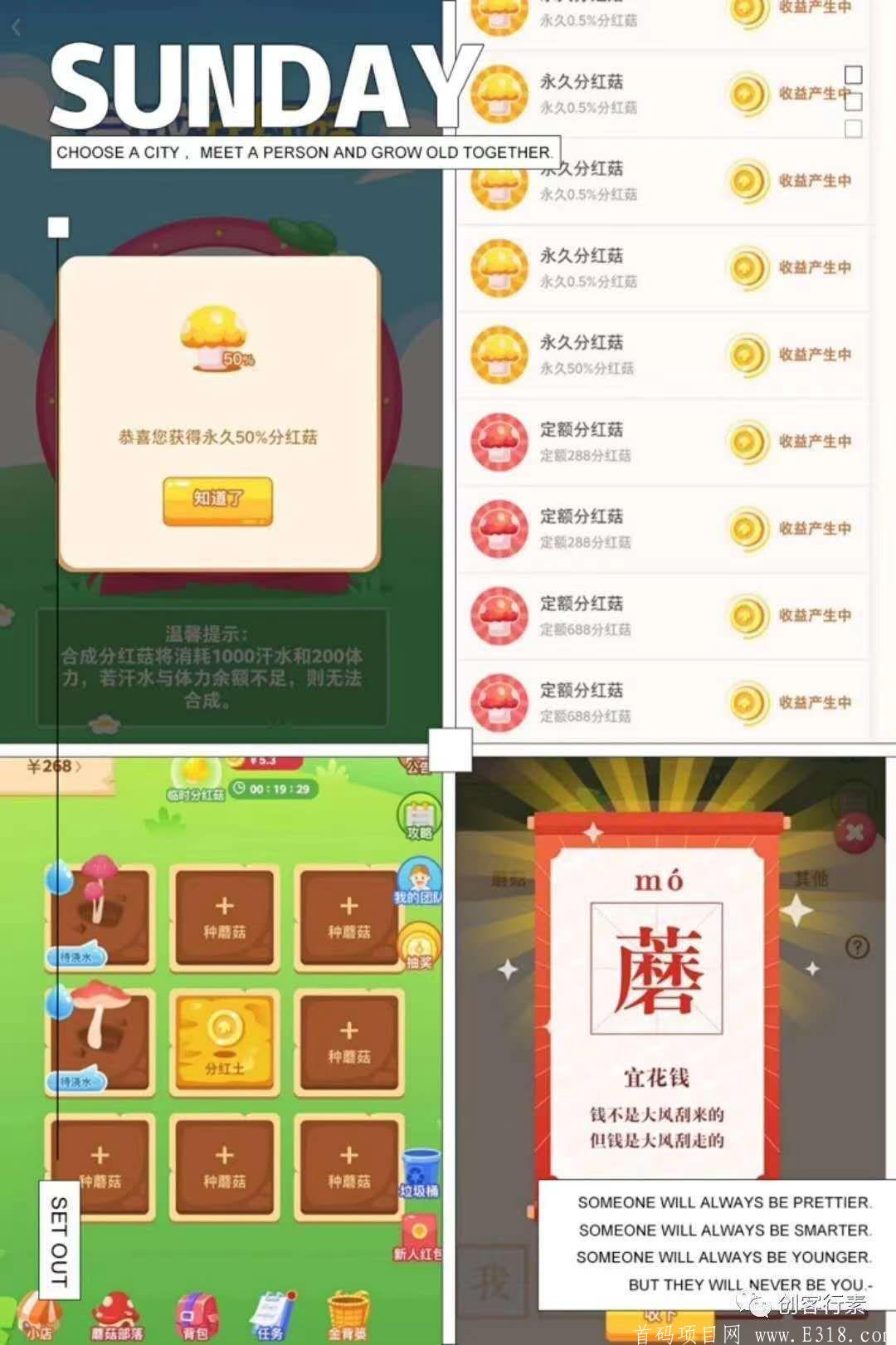 全民采蘑菇扶持28元+
