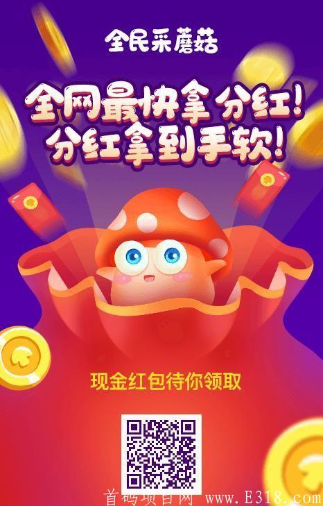 全民采蘑菇扶持28元+