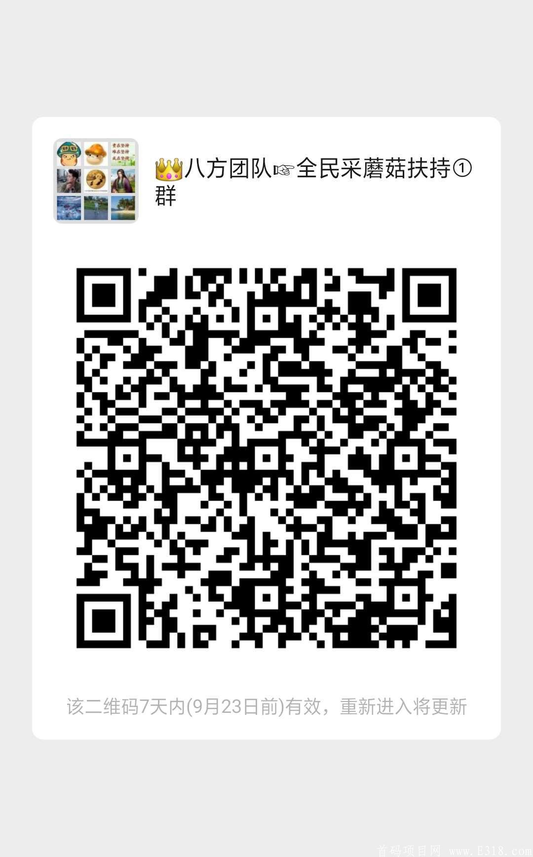全民采蘑菇扶持28元+