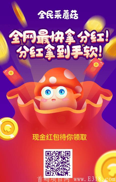 全民采蘑菇首码。10天上分红菇，第二个全民董事长。