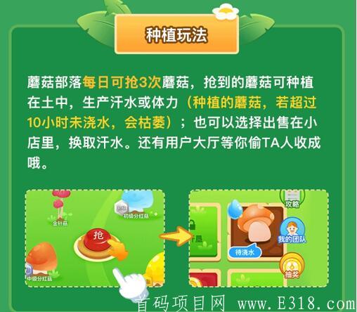 【首码】全民蘑菇游戏以上腾讯应用宝，好玩好赚，提现秒到账，高扶持