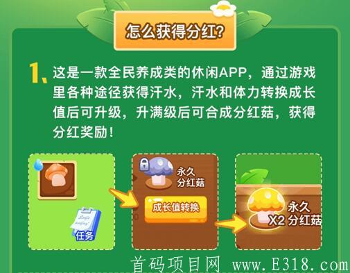 【首码】全民蘑菇游戏以上腾讯应用宝，好玩好赚，提现秒到账，高扶持
