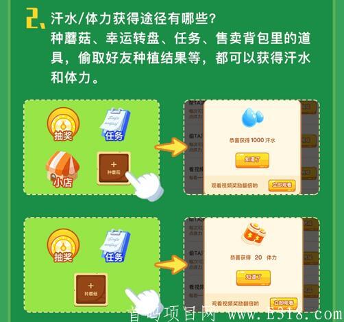 【首码】全民蘑菇游戏以上腾讯应用宝，好玩好赚，提现秒到账，高扶持