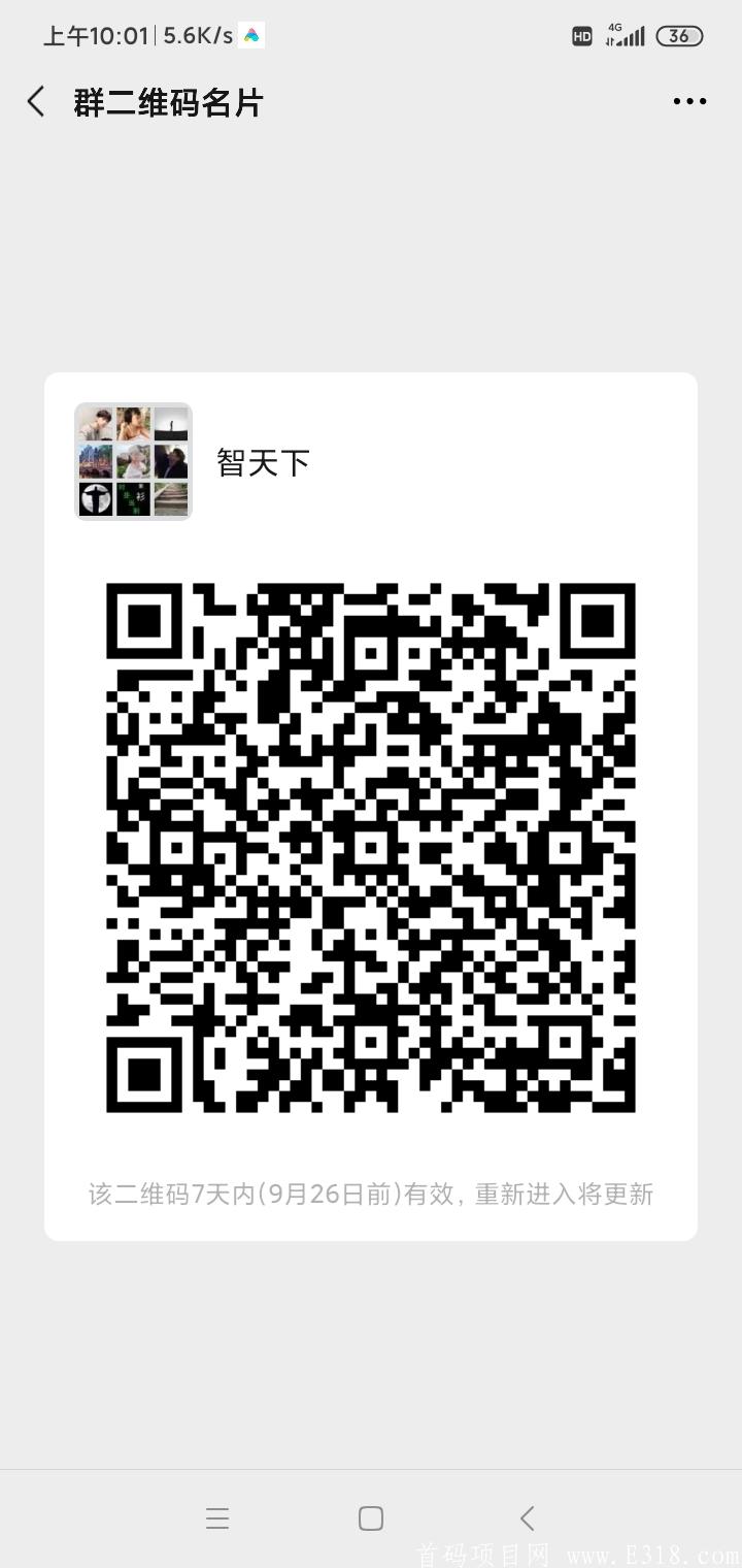 智天下——真正得黑马