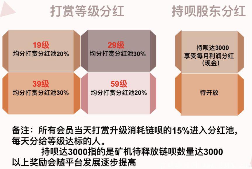链尚微淘27号首码对接，2020年尾必火项目