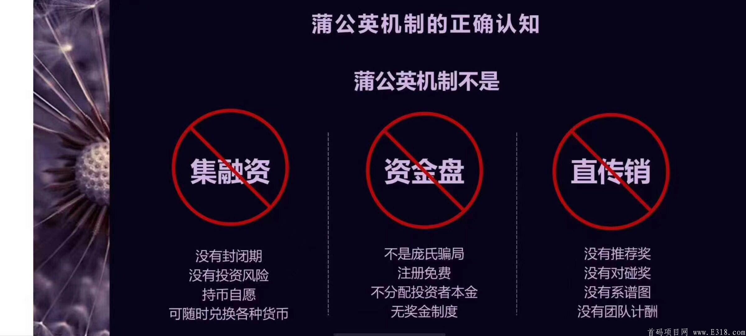 BG秀刻直播，全新模式后台强大  BG交*所周川期下的第二个项目