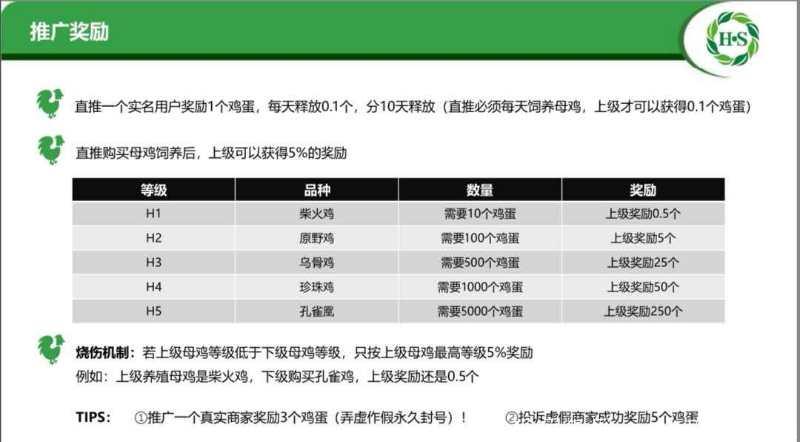 无限代扶持，对接团队长，和谐家园，生态养鸡