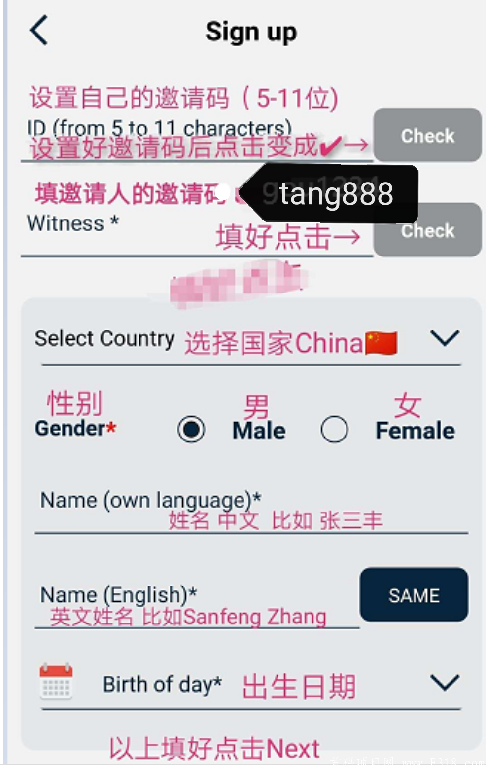 Timestpe-T币，国外盘，可以看看