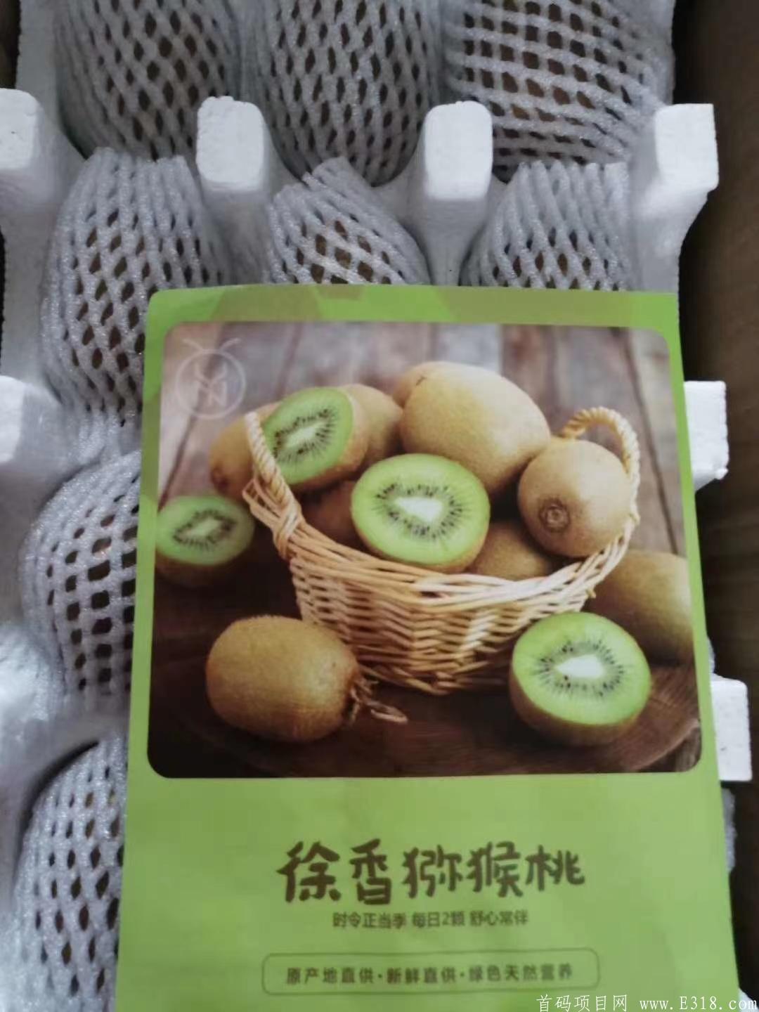欢乐果园，火爆开启，日赚300+，你的躺赚机会来了！！！