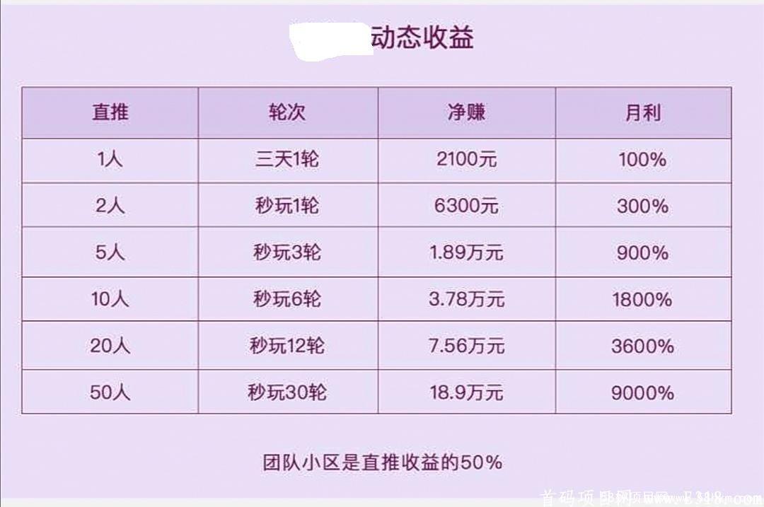全球项目，稳定收益，5天赚210，提现秒到。