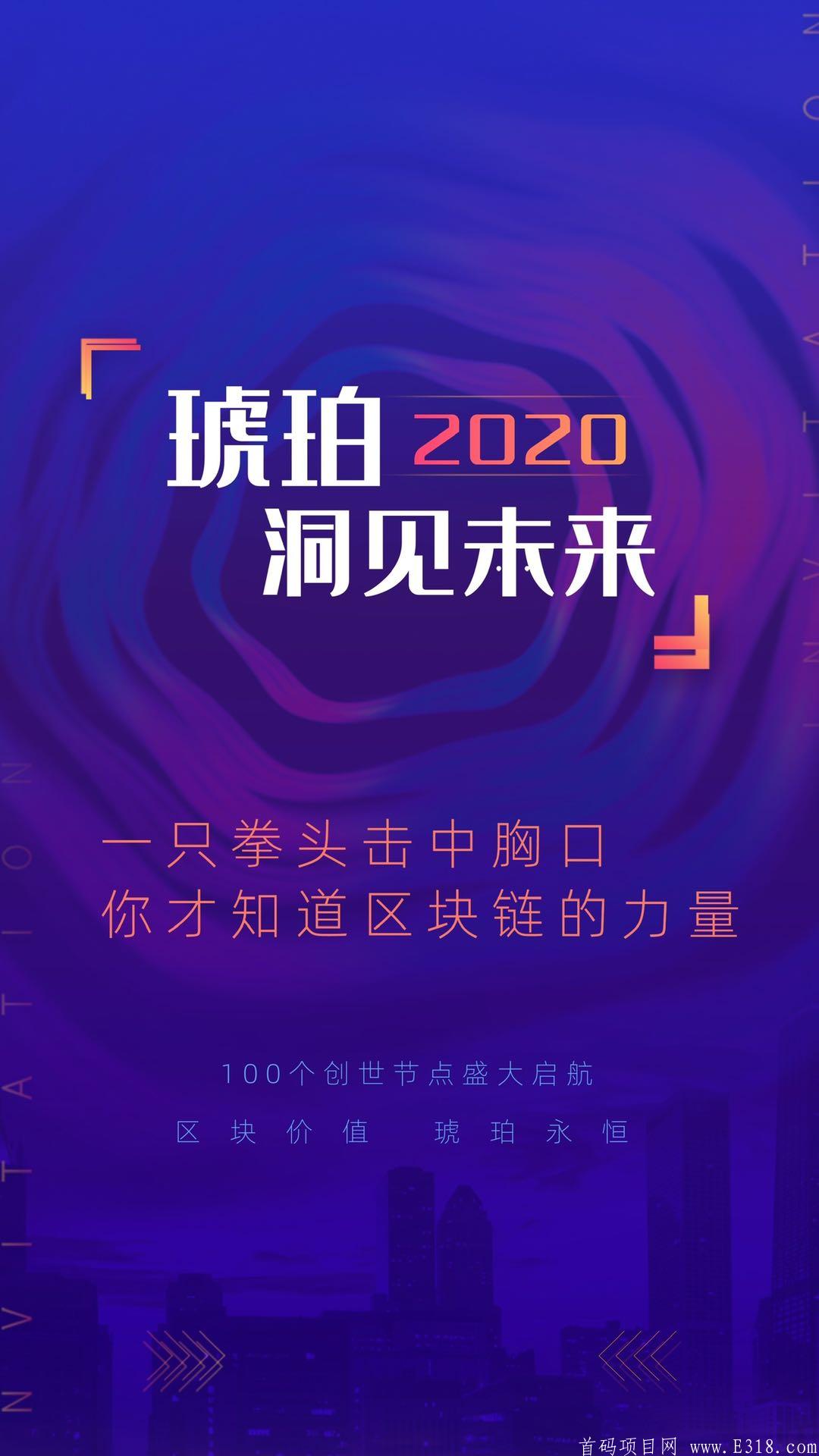 琥珀首码千倍币，对接团队长，有能力的来！！