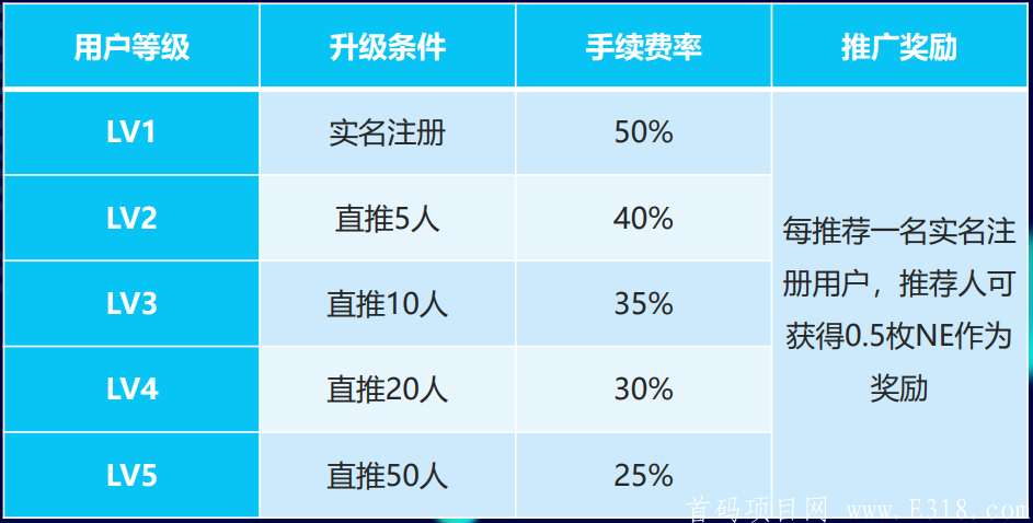 NE源计划 会是火爆项目吗？国际项目