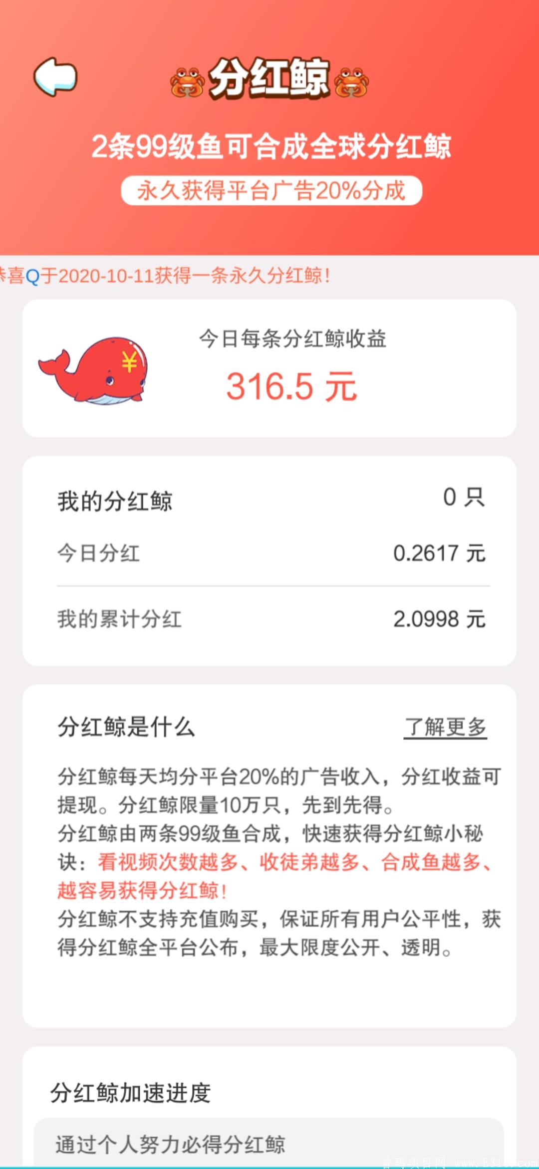 深海巨鲸合成游戏首码