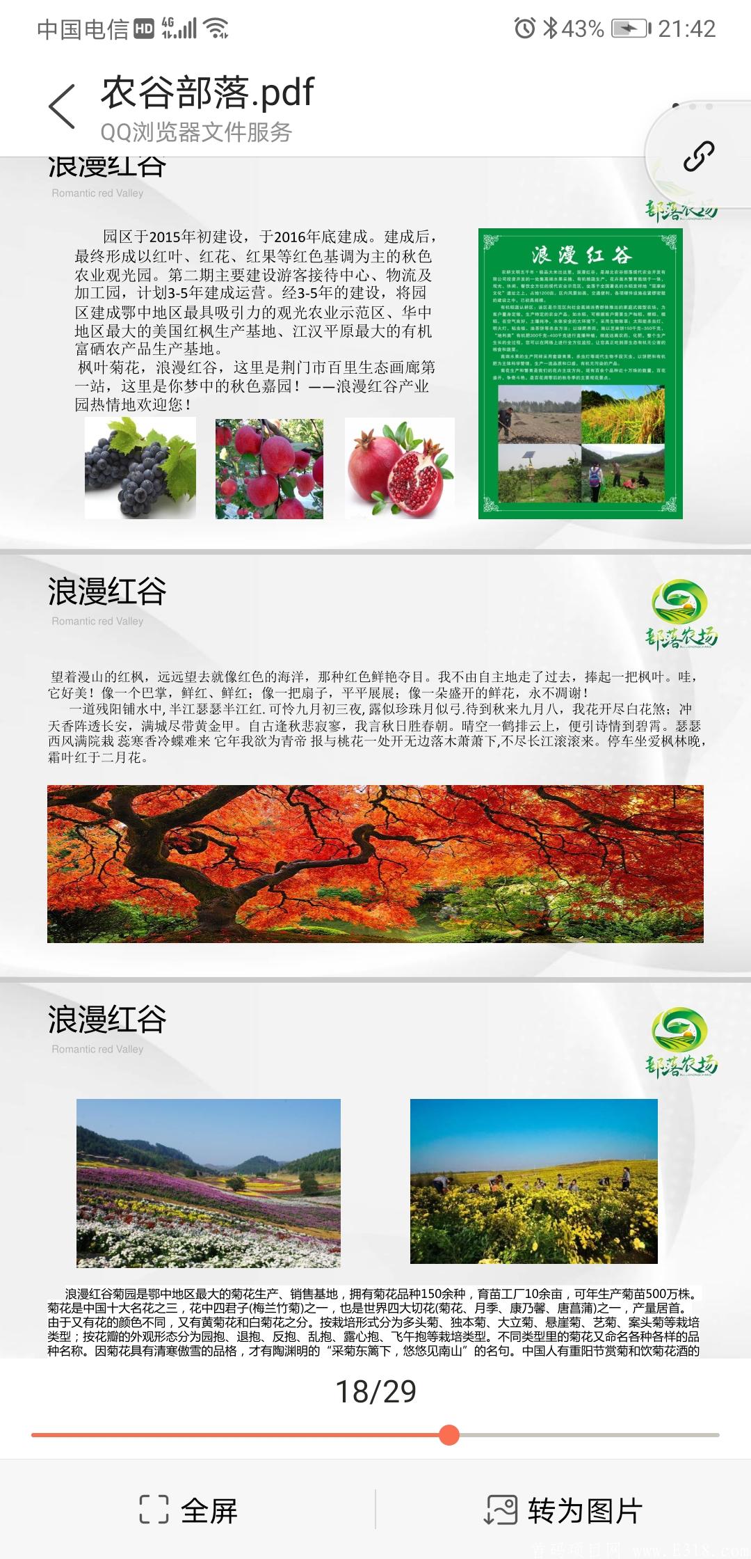 【部落农场】实力大盘实体落地内排