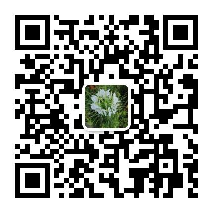 HOP高扶持白嫖二星，三星有位