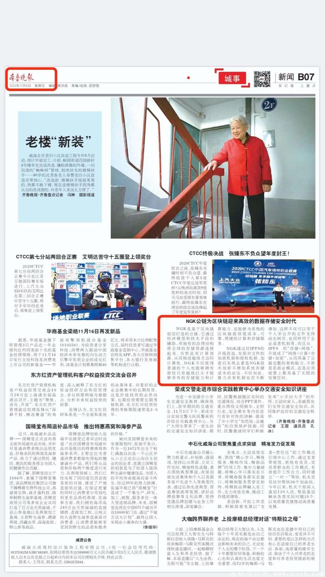 2020最火项目NGK公链