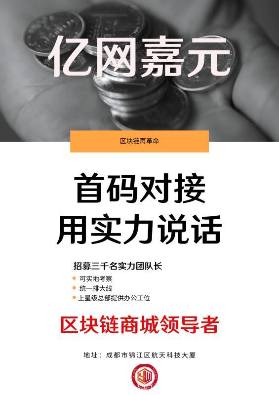 亿网嘉元，上线即上公链上大型交易所