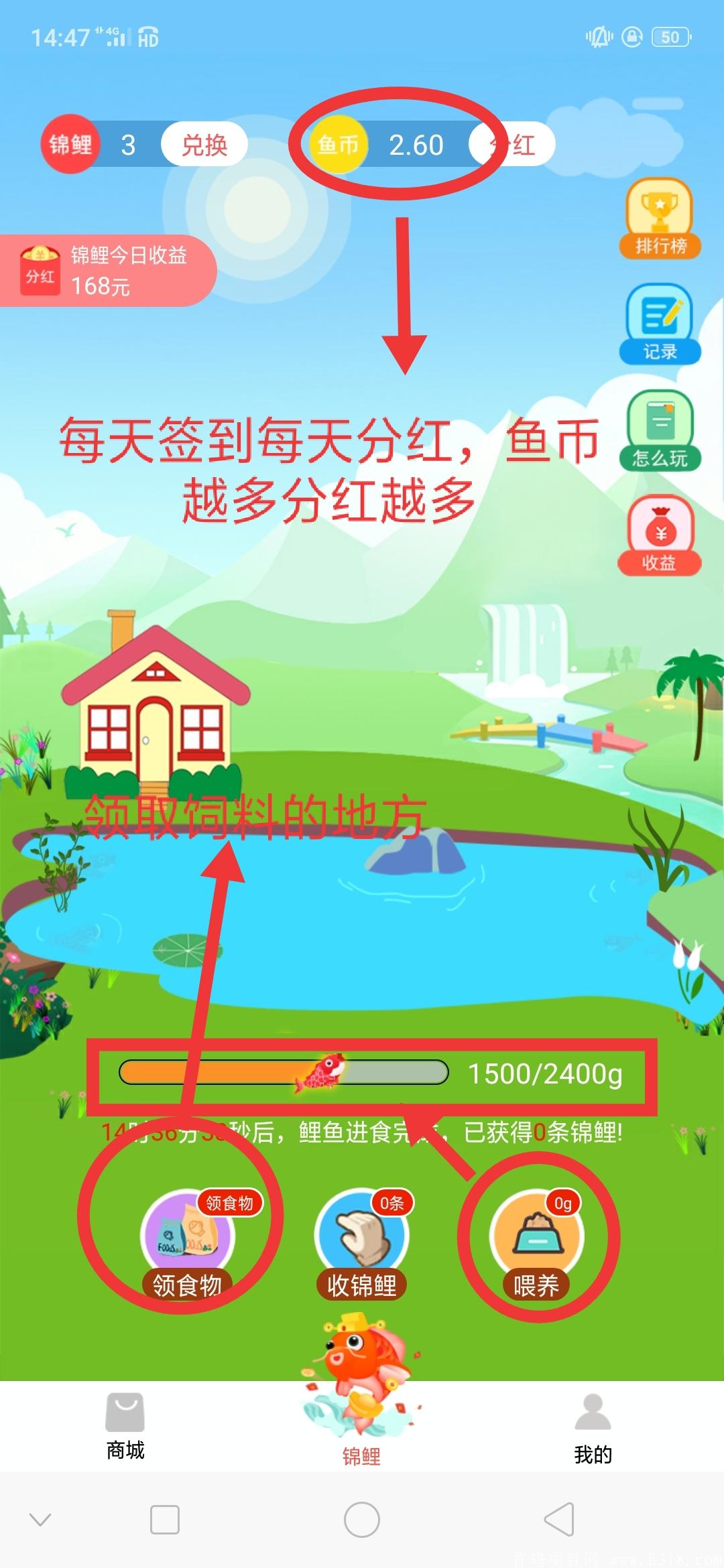 IMG_20201212_144941.jpg 锦鲤星球